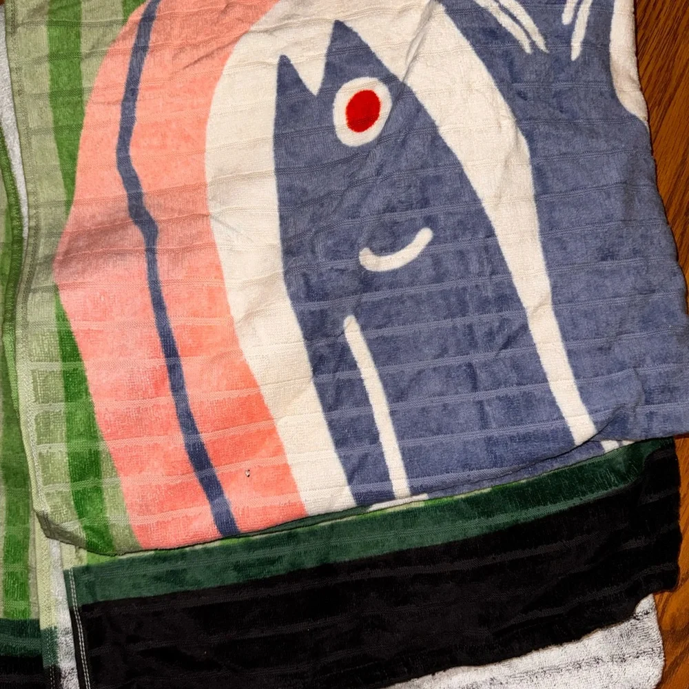 Room Essentials Green Beach Towel sardines 6’long NWT